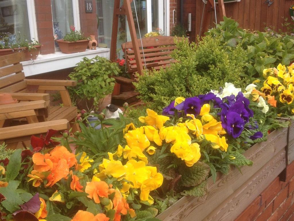 The Broadfield Bed & Breakfast Bridlington Exterior foto